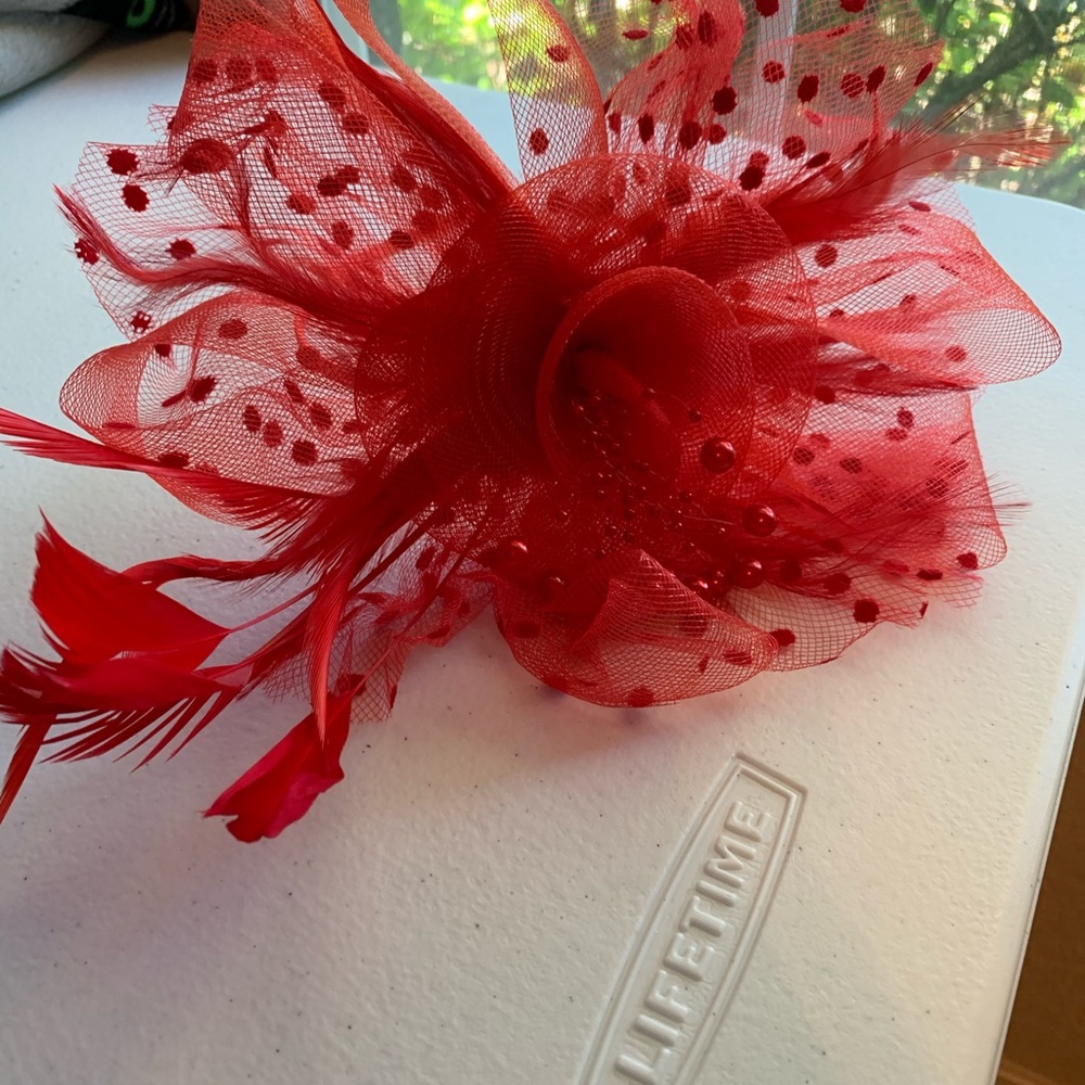Fascinator - Picture 3 of 4